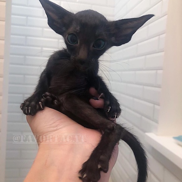 Meet your Posher, Debbie.Handmade jewelry - Picture 16 of 17